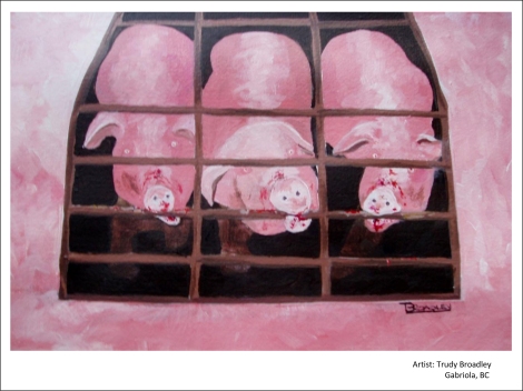 Peinture parTrudy Broadley, faite pour la campagne de CETFA contre les cages de gestation.